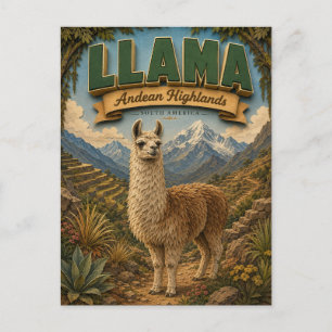 Carte Postale Llama Alpaca Hauts Plateaux Andéens POPCUT