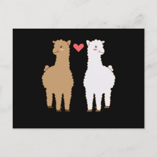 Carte Postale Llama Alpaca Llamas Alpacas Création de conception