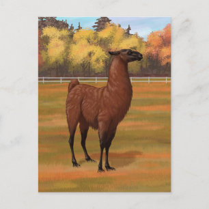 Carte Postale Llama Brown dans les pâturages agricoles d'automne