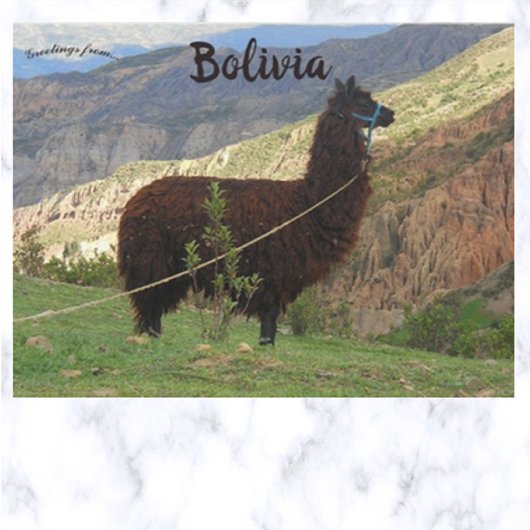 Carte Postale Llama dans la vallée des âmes Bolivie