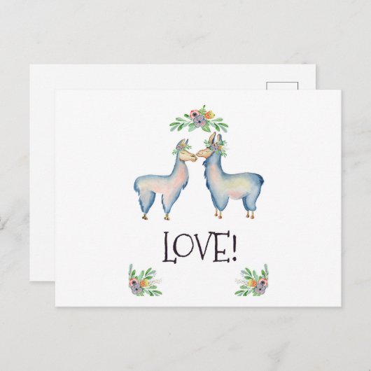 Carte Postale Llama est amoureuse (Devant / Derrière)