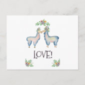 Carte Postale Llama est amoureuse (Devant)