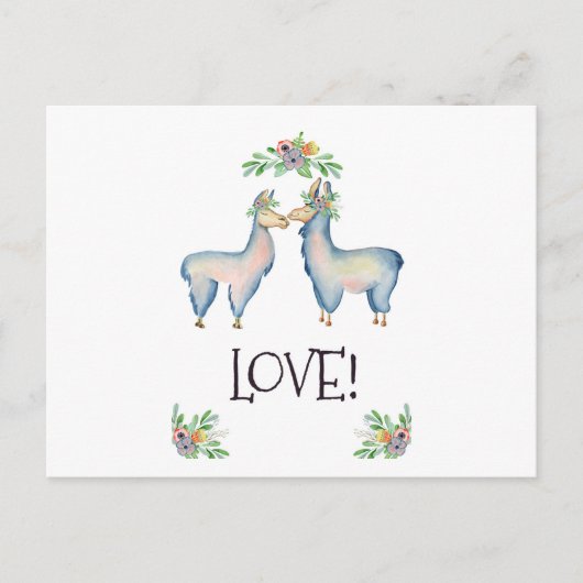 Carte Postale Llama est amoureux (Devant)