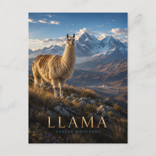 Carte Postale Llama Hauts Plateaux Andéens ANIMAUX