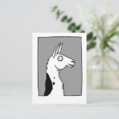 Carte Postale Llama Llama (Debout devant)