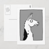 Carte Postale Llama Llama (Devant / Derrière)