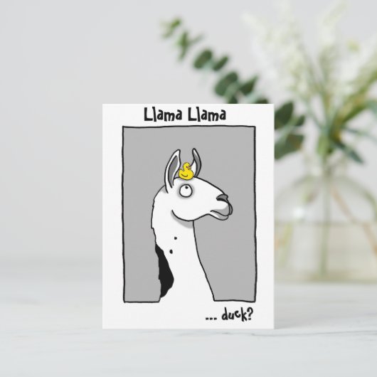 Carte Postale Llama Llama duck Postcard (Debout devant)