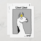 Carte Postale Llama Llama duck Postcard (Devant / Derrière)