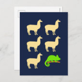 Carte Postale Llama Llama Llama Llama Chameleon (Devant / Derrière)
