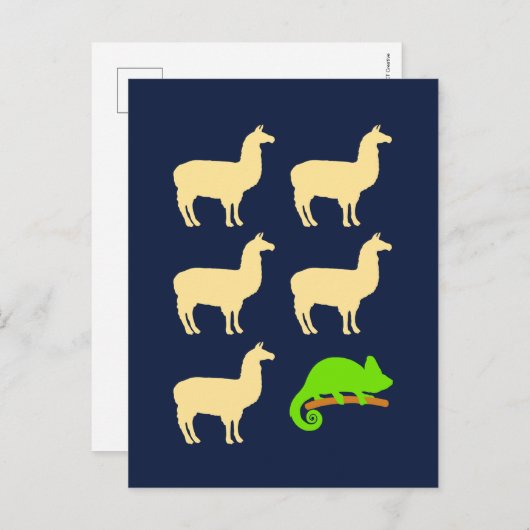Carte Postale Llama Llama Llama Llama Chameleon (Devant / Derrière)