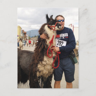 Carte postale Llama Pack personnalisée