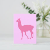 Carte Postale Llama rose (Debout devant)