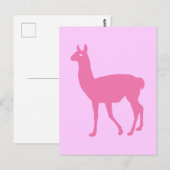 Carte Postale Llama rose (Devant / Derrière)