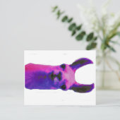 Carte Postale Llama rose (Debout devant)