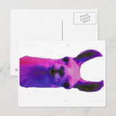 Carte Postale Llama rose (Devant / Derrière)