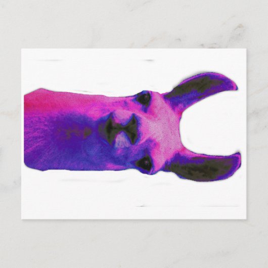 Carte Postale Llama rose (Devant)