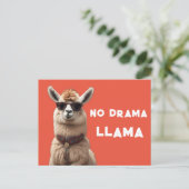 Carte Postale Llama sans drame Alapaca cool Porter des lunettes  (Debout devant)