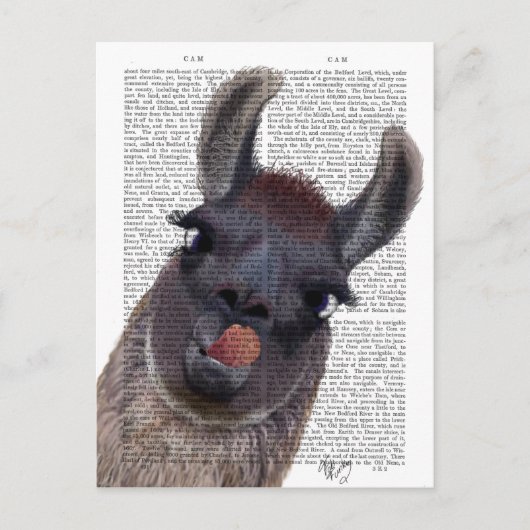 Carte Postale Llama Silly (Devant)