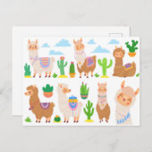 Carte Postale Llamas (Devant / Derrière)