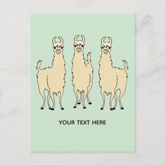 Carte Postale Llamas Ajoutez Votre Propre Message Texte (Devant)