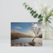 Carte Postale Llanberis, Pays de Galles (Debout devant)