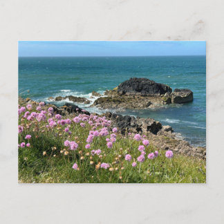 Carte Postale Llanddwyn Anglesey