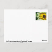 Carte Postale Lo ! Un tournesol est né (Dos)