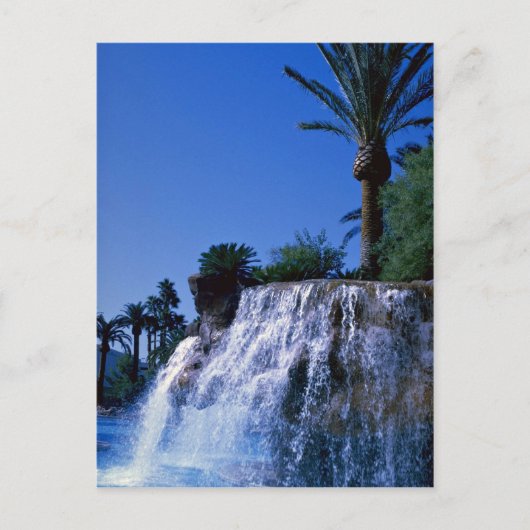 Carte Postale L'oasis du désert (Devant)