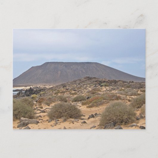 Carte Postale Lobos de l'île volcanique (Devant)