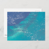 Carte Postale L'océan Atlantique au large de la côte des Bahamas (Devant / Derrière)