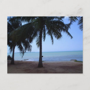 Carte Postale L'océan le matin