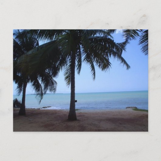 Carte Postale L'océan le matin (Devant)