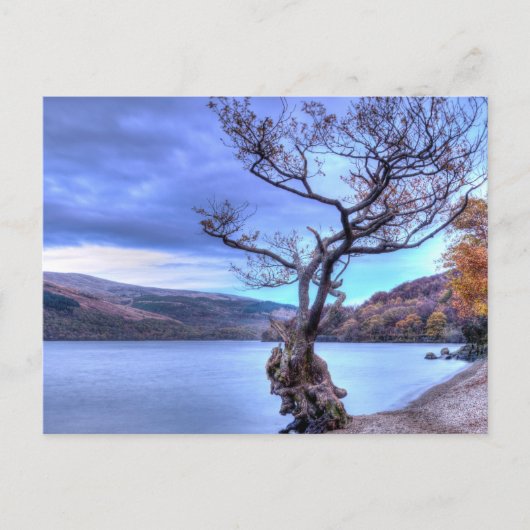 Carte postale Loch Lomond, Écosse (Devant)