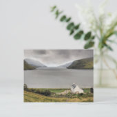 Carte Postale Loch Seaforth (Debout devant)