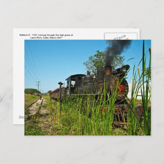 Carte Postale Locomotive à vapeur en herbe haute (Devant / Derrière)