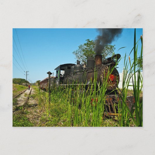 Carte Postale Locomotive à vapeur en herbe haute (Devant)