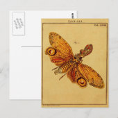 Carte Postale Locusta (Devant / Derrière)