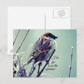 Carte Postale L'oeil de HI est sur le Bruant (Devant / Derrière)