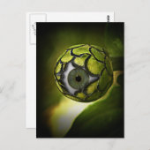 Carte Postale L'Œil te verra dans le jardin, ce soir ! (Devant / Derrière)