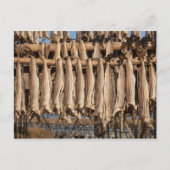 Carte Postale Lofoten (Devant)