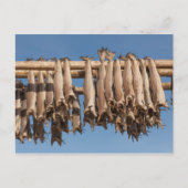 Carte Postale Lofoten (Devant)