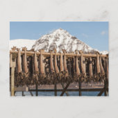 Carte Postale Lofoten Norvège Stofish (Devant)