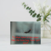 Carte postale Log Bug Fever (Debout devant)