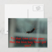 Carte postale Log Bug Fever (Devant / Derrière)
