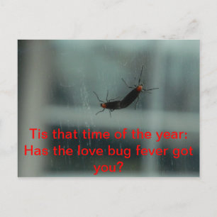 Carte postale Log Bug Fever