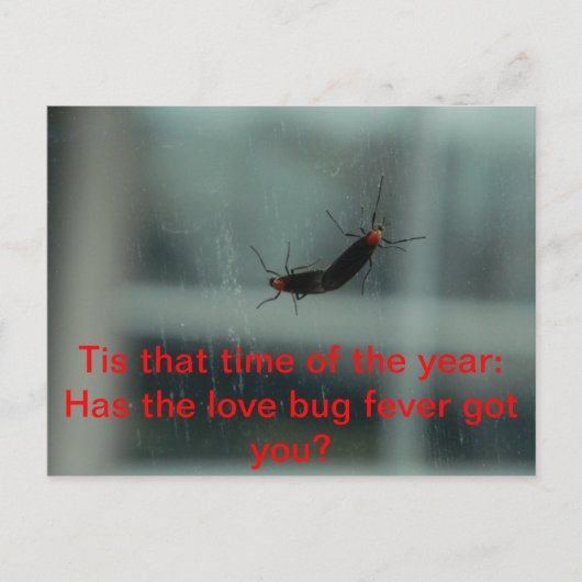 Carte postale Log Bug Fever (Devant)