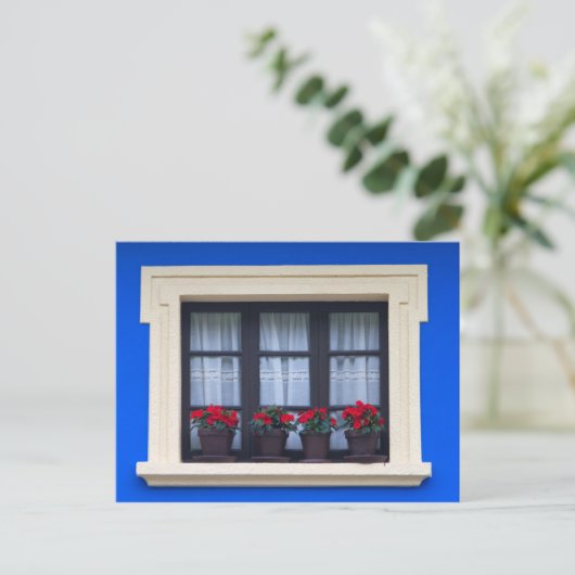 Carte Postale Logement résidentiel avec des fleurs dans les fenê (Debout devant)