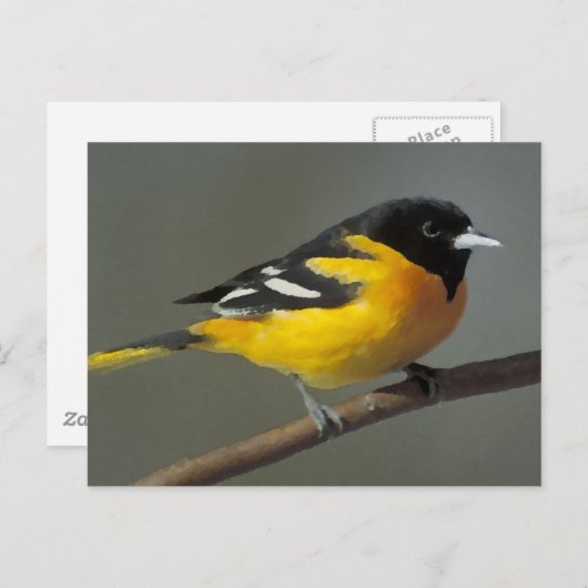 Carte Postale Logo Baltimore Oriole (palette) (Devant / Derrière)