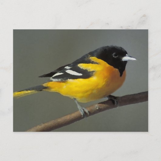 Carte Postale Logo Baltimore Oriole (palette) (Devant)