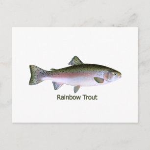 Carte Postale Logo de pêche à la truite arc-en-ciel